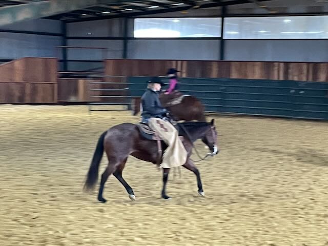 Cutting horse and rider in action during indoor arena training