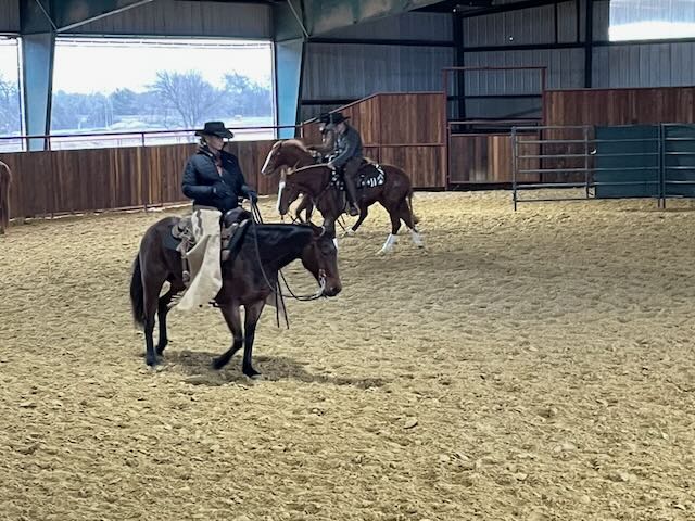 Indoor arena with cutting horse training and riders