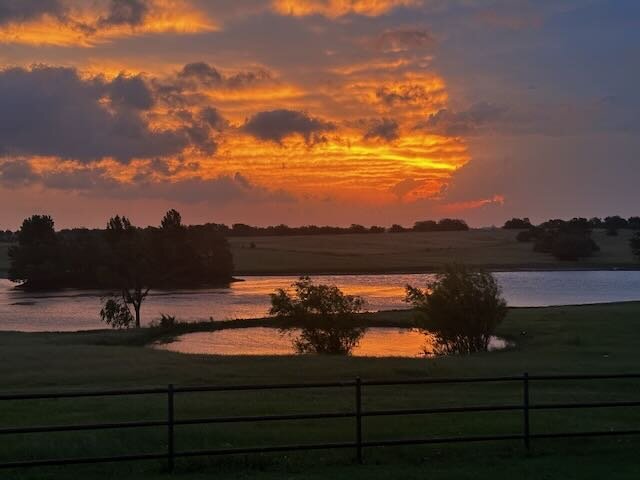 Raising Cattle in Hunt County: 50 Years of Lessons Learned